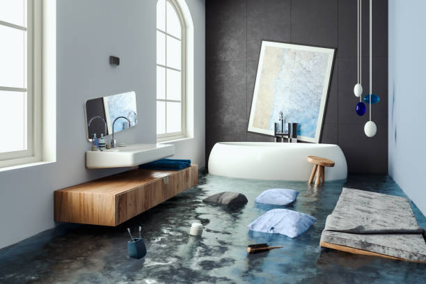 Best Professional water damage repair  in West Salem, WI
