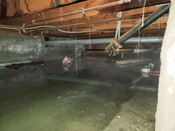 Best Local water damage restoration  in West Salem, WI