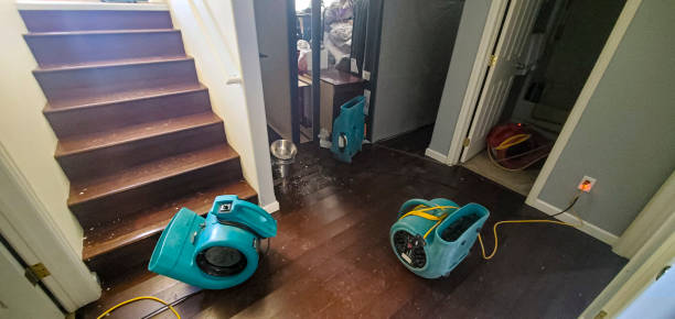 Best Water damage restoration near me  in West Salem, WI
