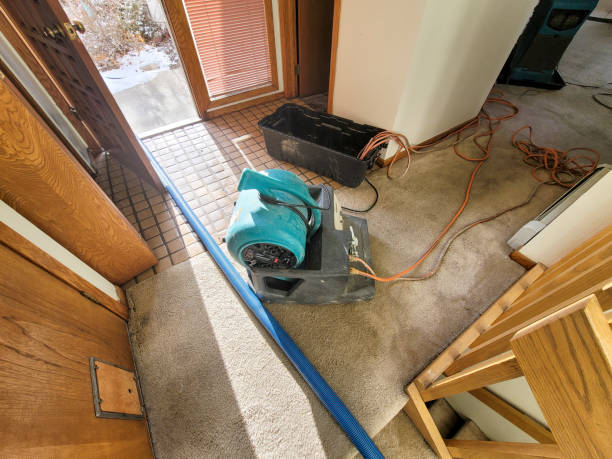 Best Basement water damage restoration  in West Salem, WI