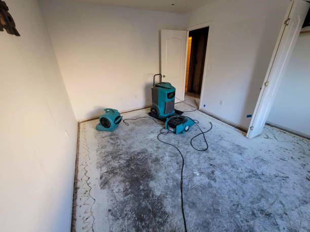 Best Water damage restoration company  in West Salem, WI