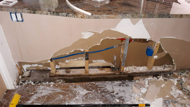 Best Water damage cleanup near me  in West Salem, WI