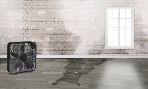 Best Sewage cleanup and water damage restoration  in West Salem, WI