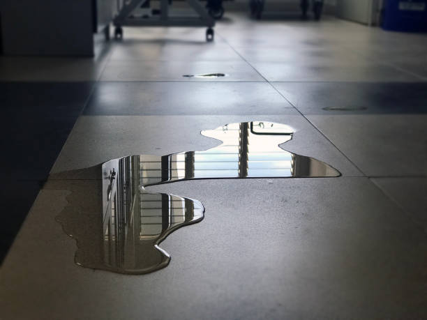 Best 24/7 water damage repair  in West Salem, WI