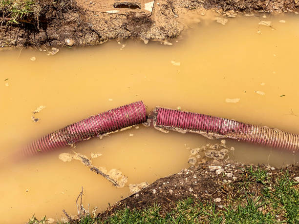 Best Mold removal after water damage  in West Salem, WI