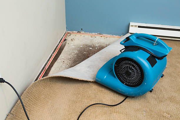 Sewage cleanup and water damage restoration in West Salem, WI